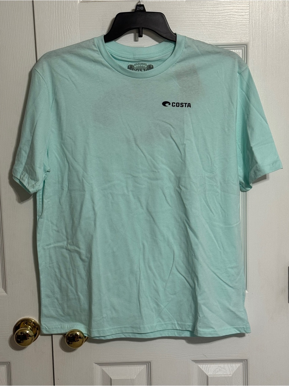 Costa Men's Short-Sleeve Crew Tee - Mint Green